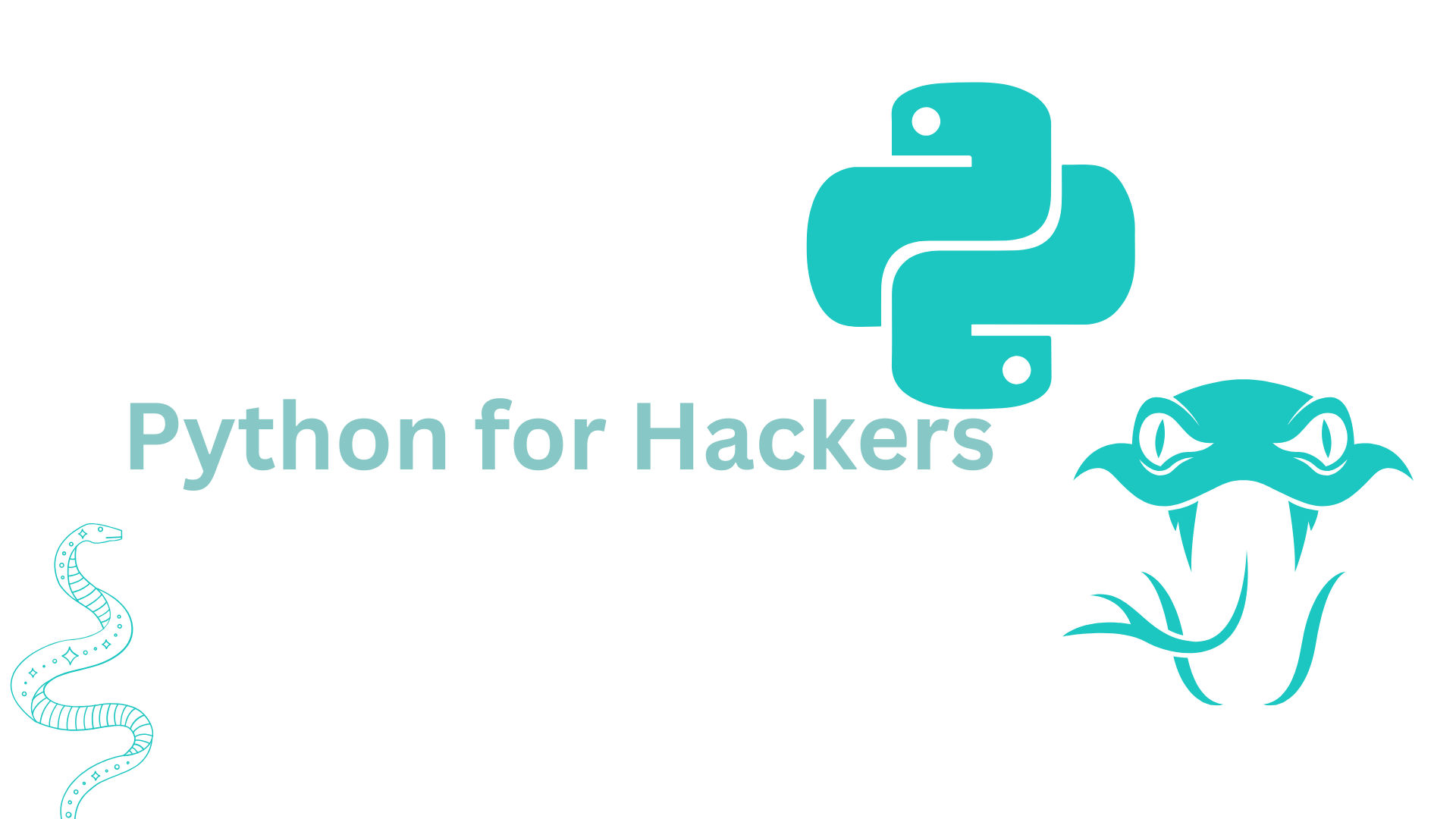 Python for Hackers